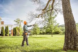 Best Arborist Consultation Services  in Kayak Point, WA